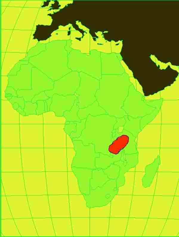 Die Heimat dieser V�gel ist hier im roten Feld dargestellt
